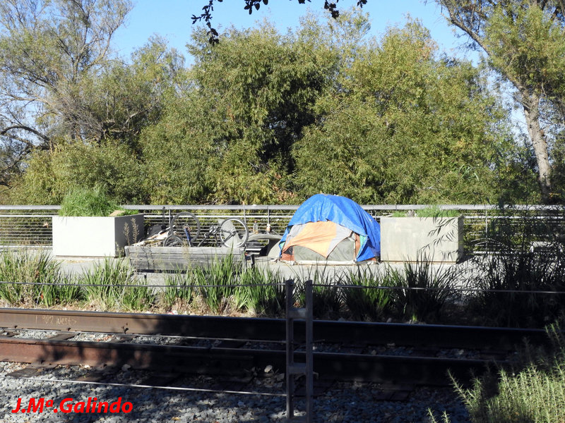 DSCN4564.jpg