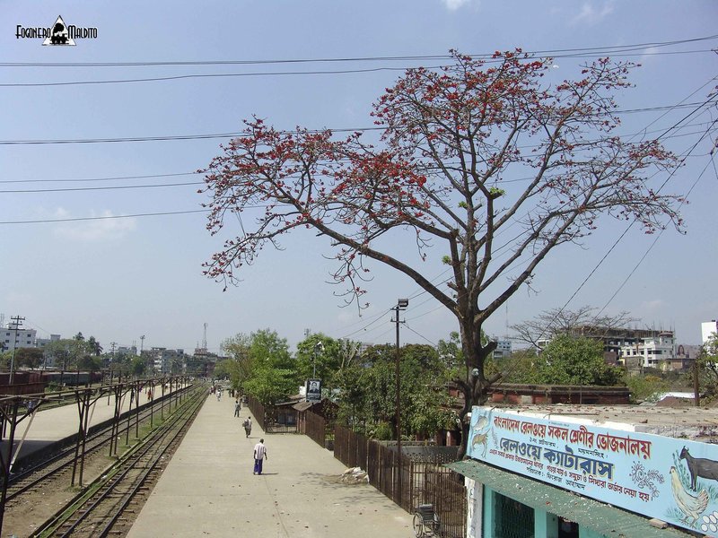 BANGLADESH (512).jpg
