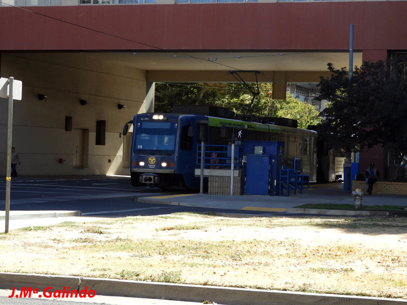 DSCN5205.jpg