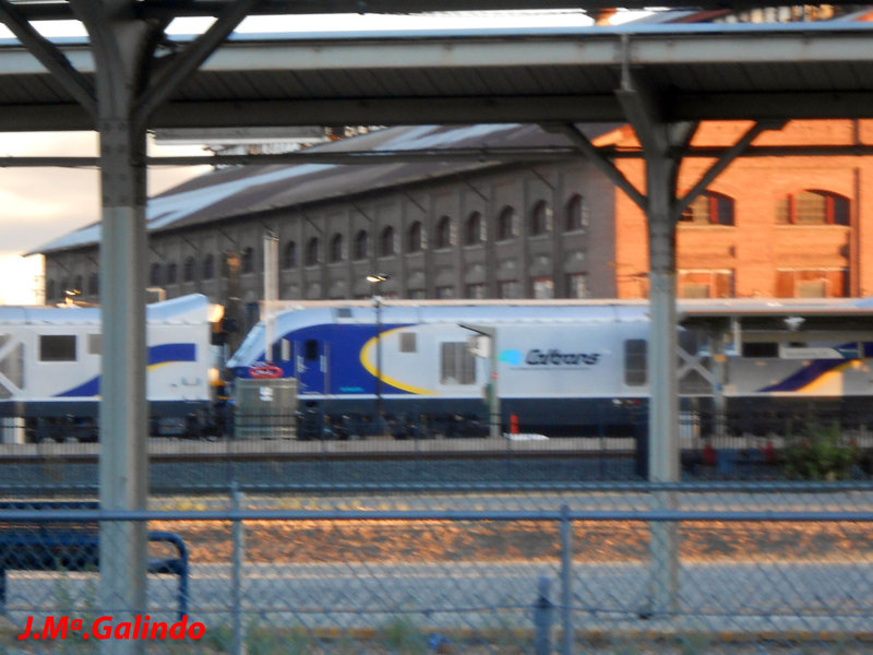 DSCN8898.jpg