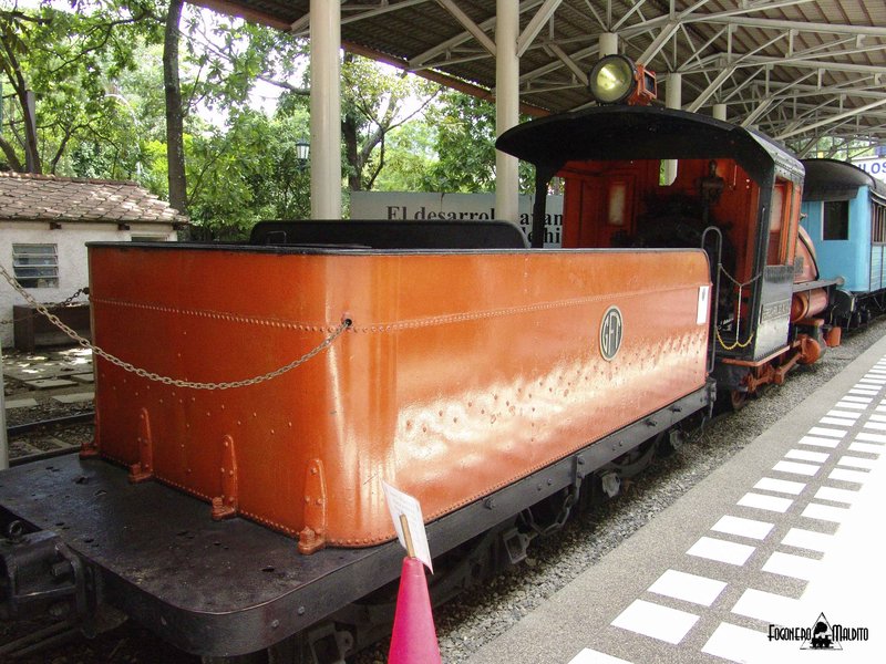 MTC (36).jpg