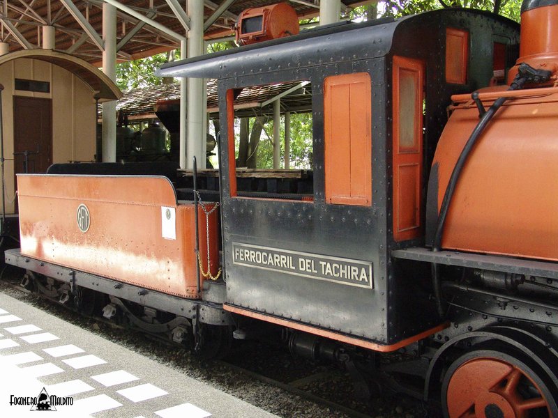MTC (39).jpg