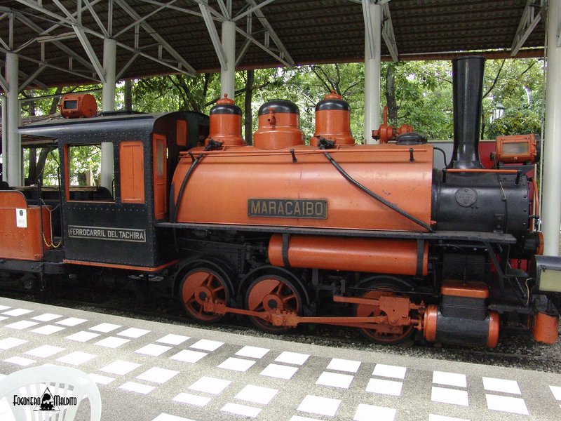 MTC (38).jpg