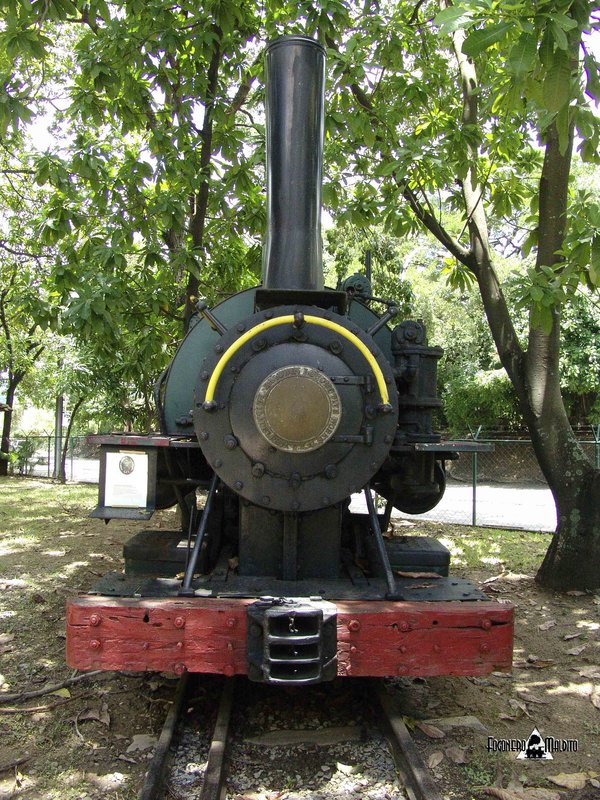 MTC (3).jpg