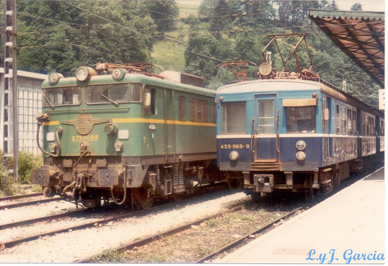 foto1 .jpg