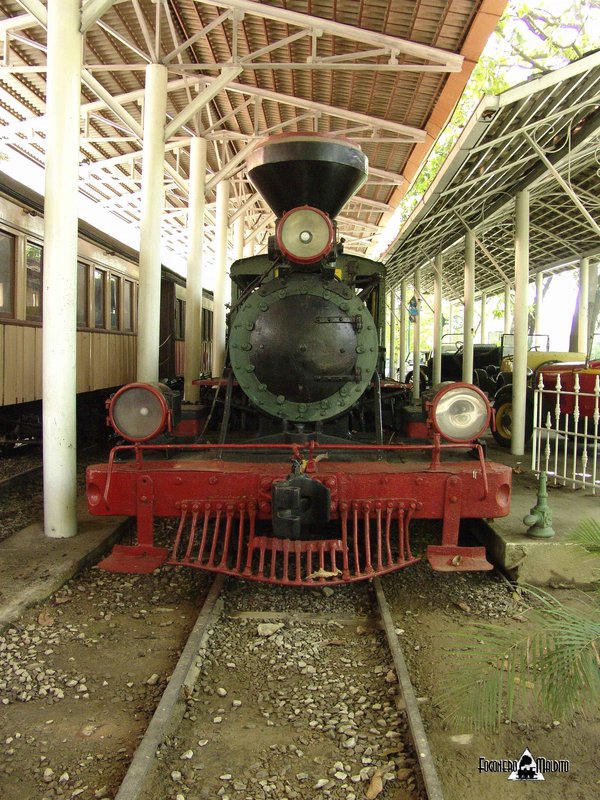 MTC (9).jpg