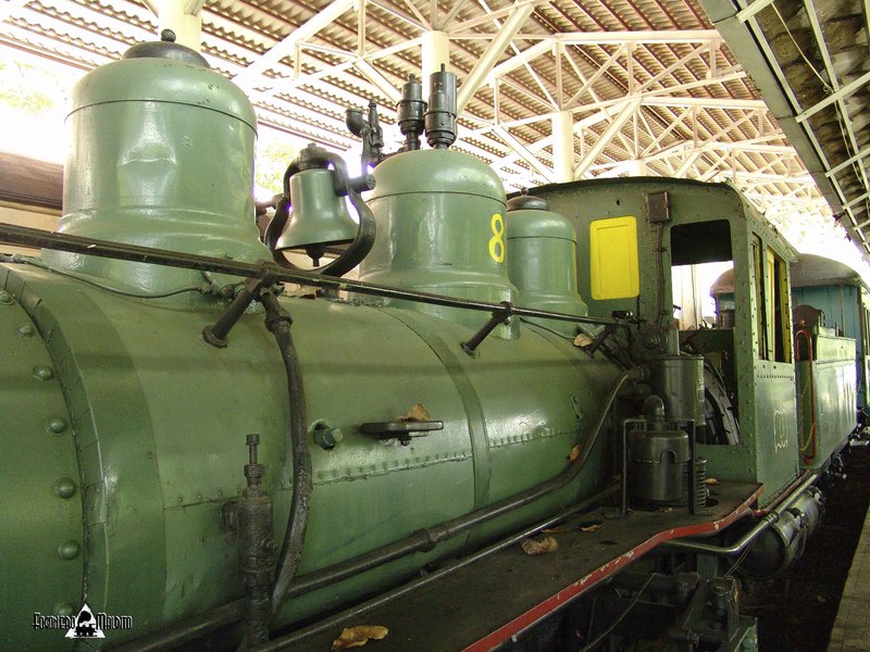 MTC (11).jpg