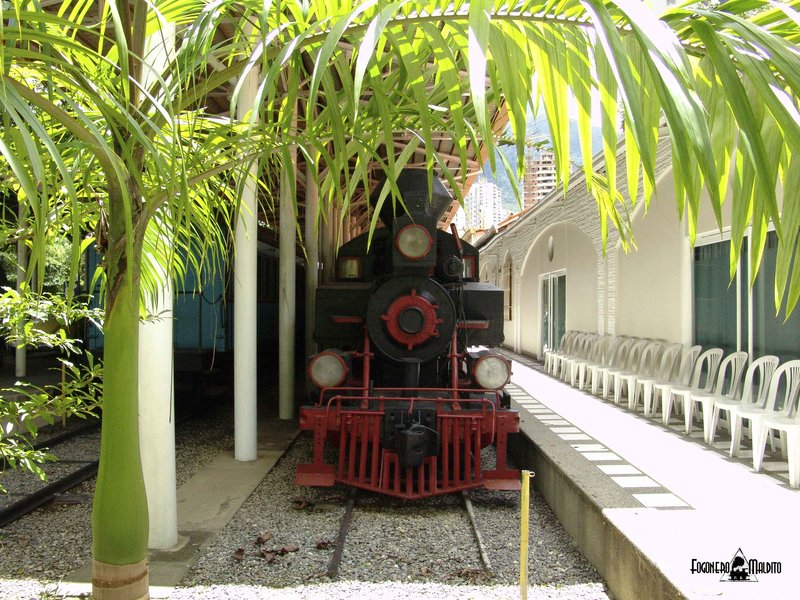 MTC (20).jpg