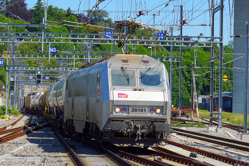 49911756228_89d674a556_c.jpg