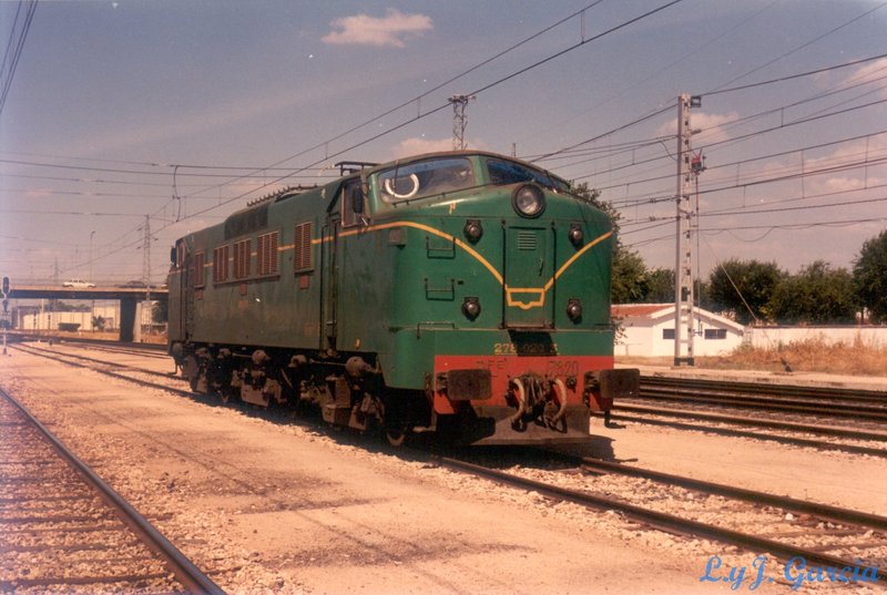 foto10 .jpg