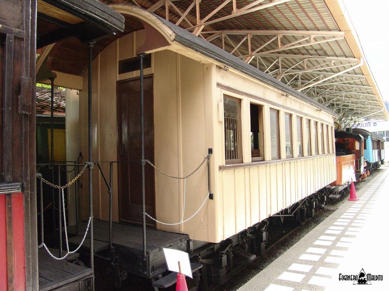 MTC (34).jpg