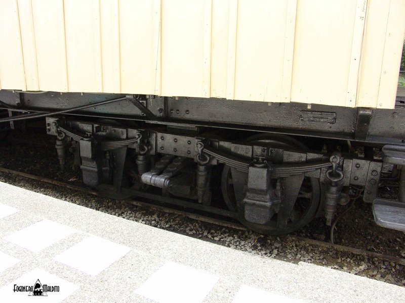 MTC (35).jpg