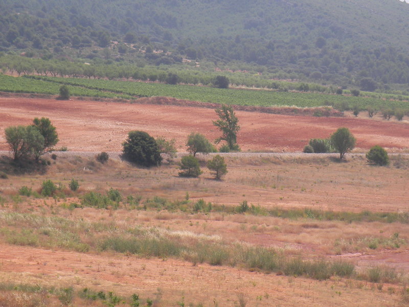SANY0001.JPG