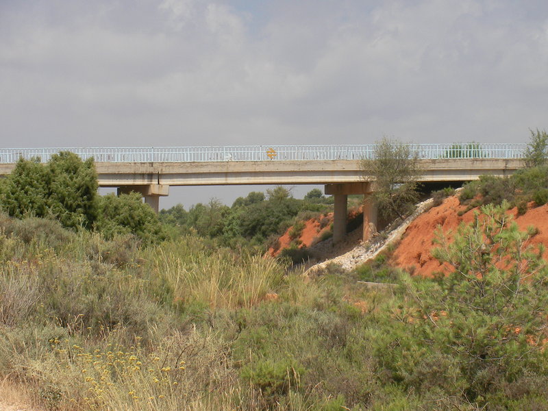 SANY0002.JPG