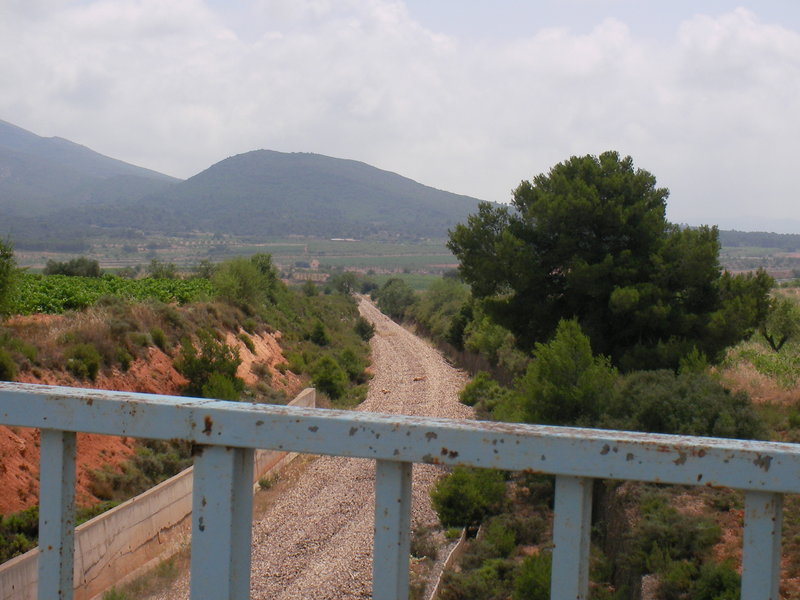 SANY0003.JPG