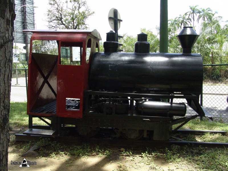 MTC (50).jpg