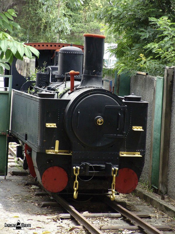 MTC (69).jpg