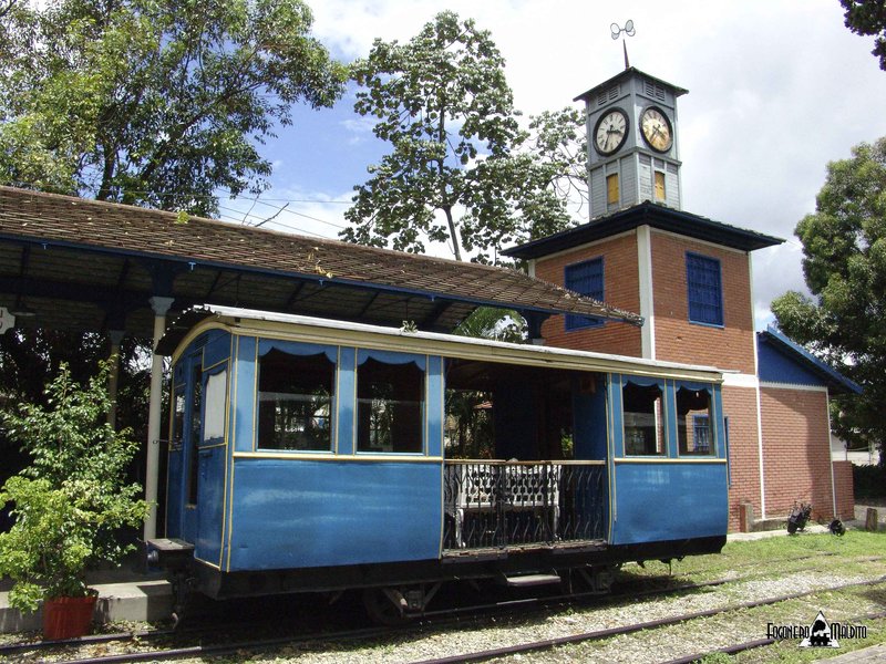 MTC (72).jpg