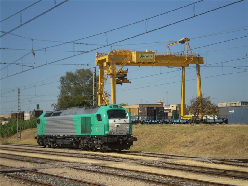 P1010003 (Medium).JPG