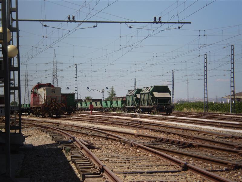 P1010014 (Medium).JPG