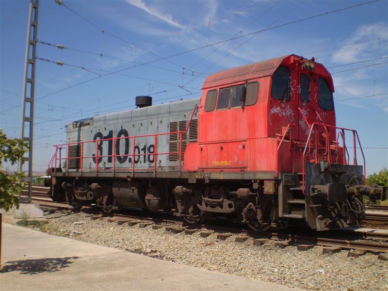P1010015 (Medium).JPG