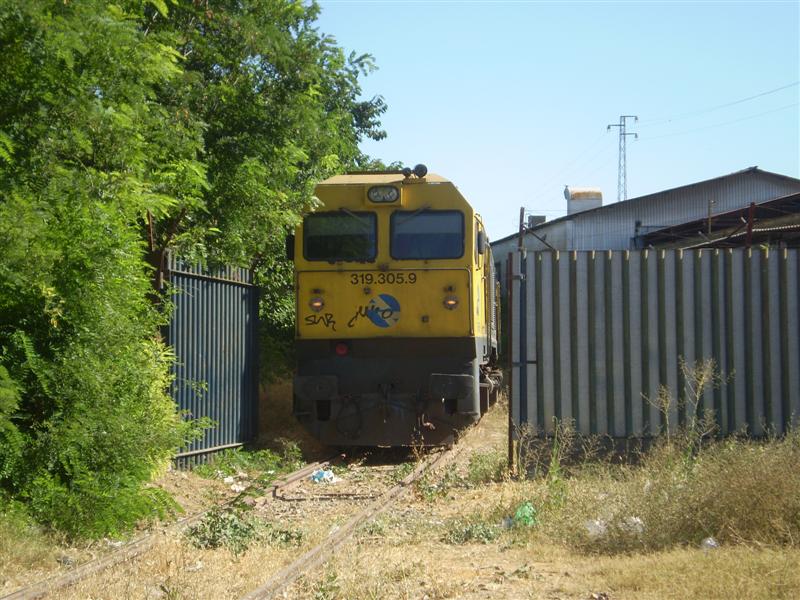 P1010041 (Medium).JPG