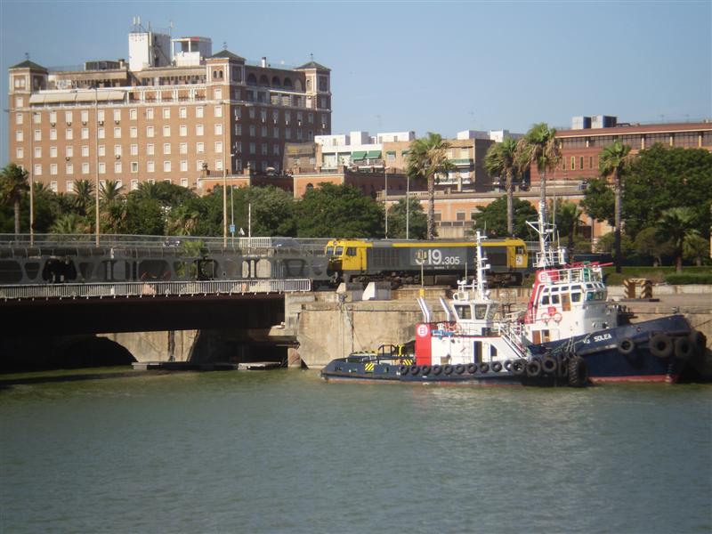 P1010053 (Medium).JPG