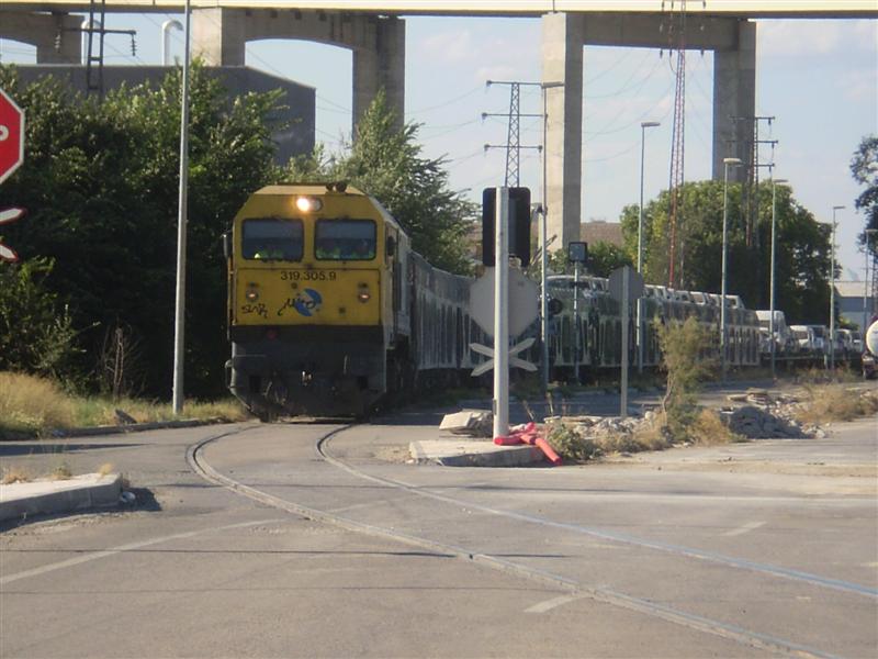 P1010061 (Medium).JPG