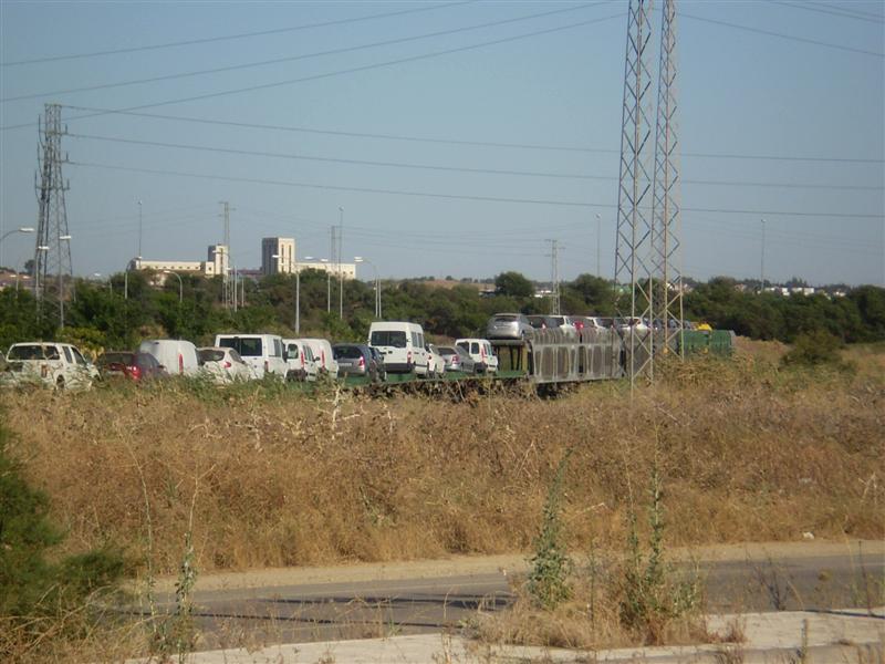 P1010066 (Medium).JPG