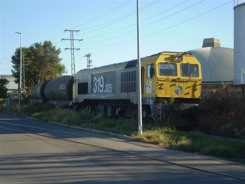 P1010079 (Medium).JPG