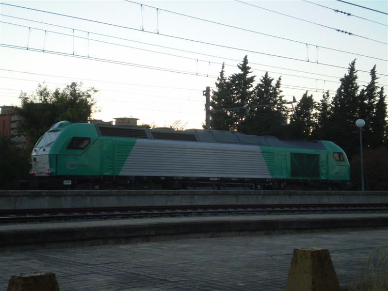 P1010093 (Medium).JPG
