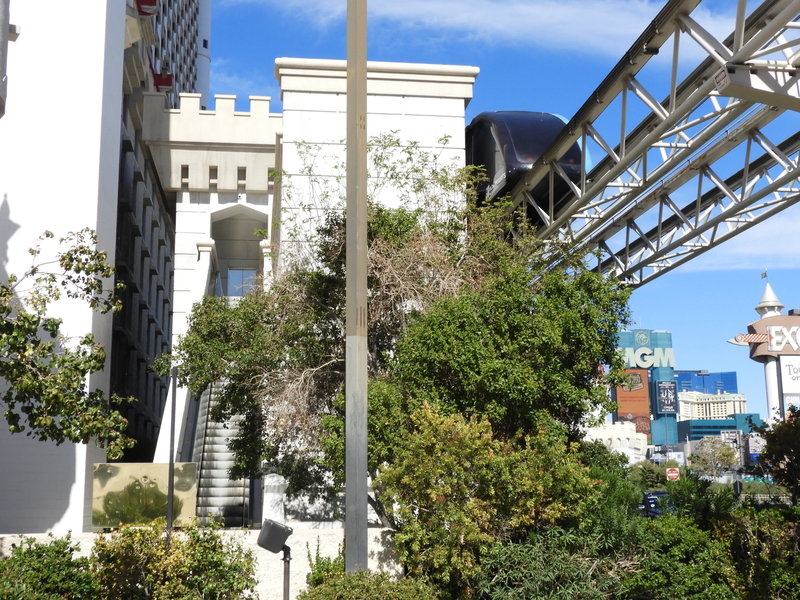 DSCN5560.JPG