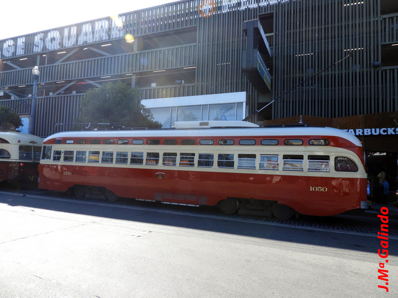 DSCN5981.jpg