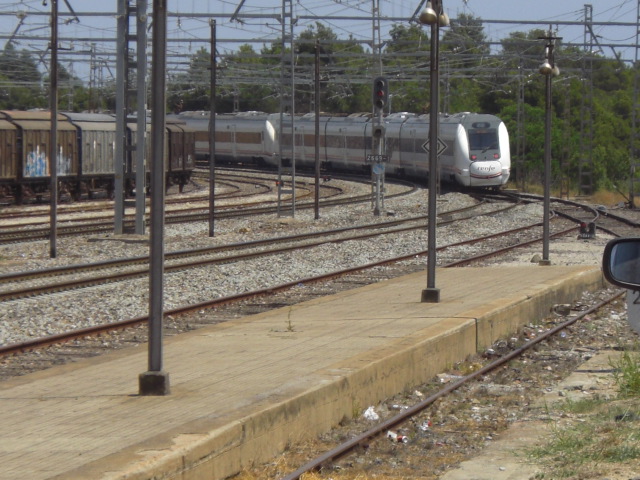 CIMG0453.JPG