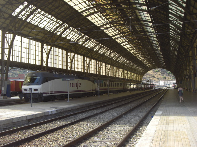 CIMG0454.JPG