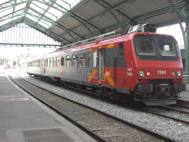 CIMG0530.JPG