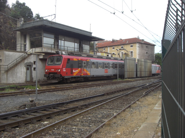 CIMG0532.JPG