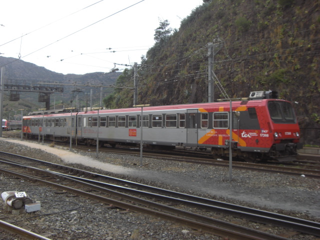 CIMG0533.JPG