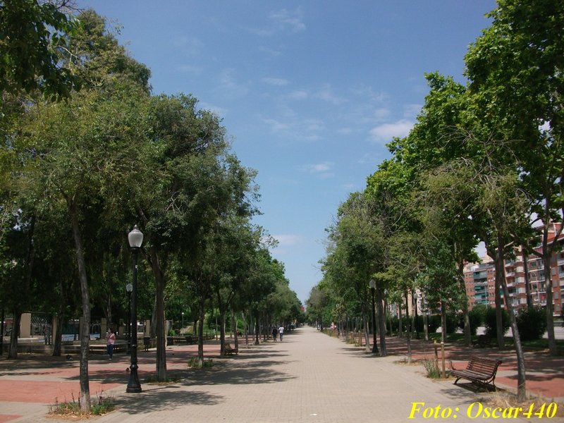 DSCF1078.JPG