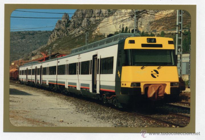 48661362.jpg