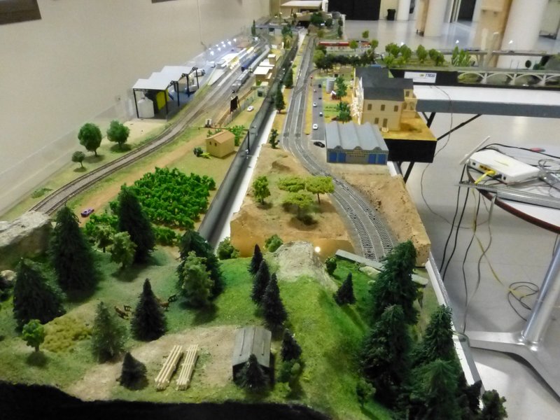 P1030427b.jpg