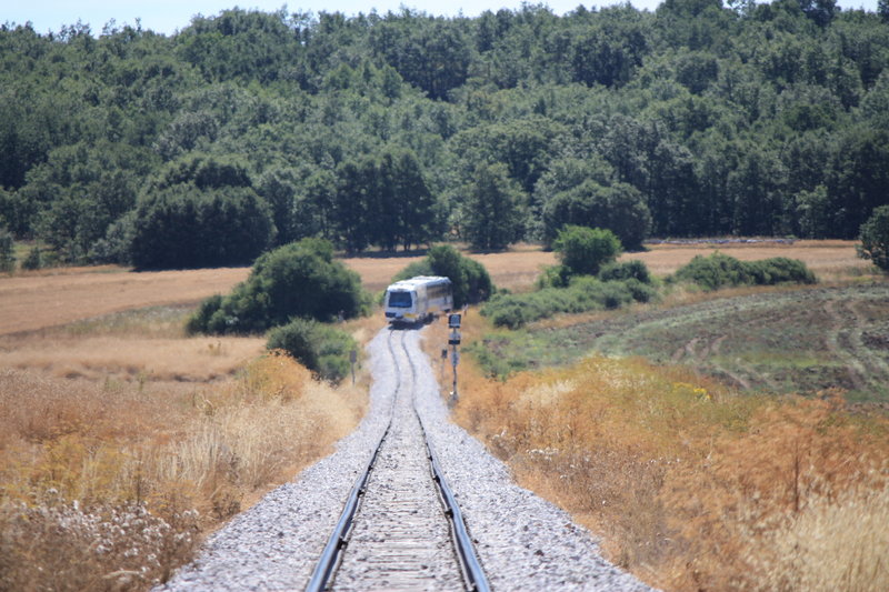 DIMG_1306.JPG