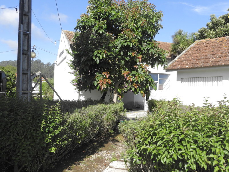 DSCN3954.JPG
