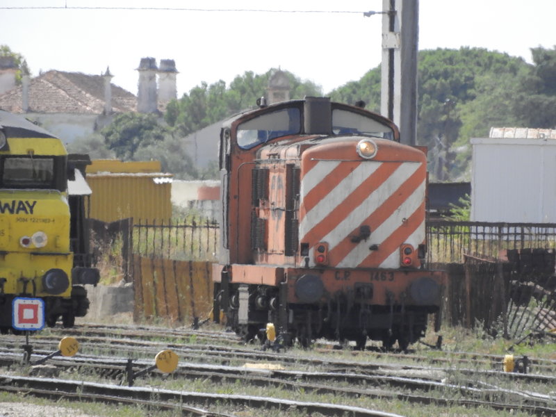DSCN4169.JPG