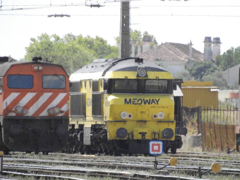 DSCN4170.JPG