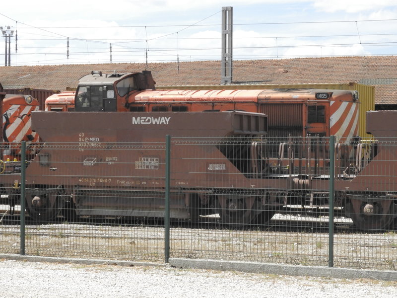 DSCN4234.JPG