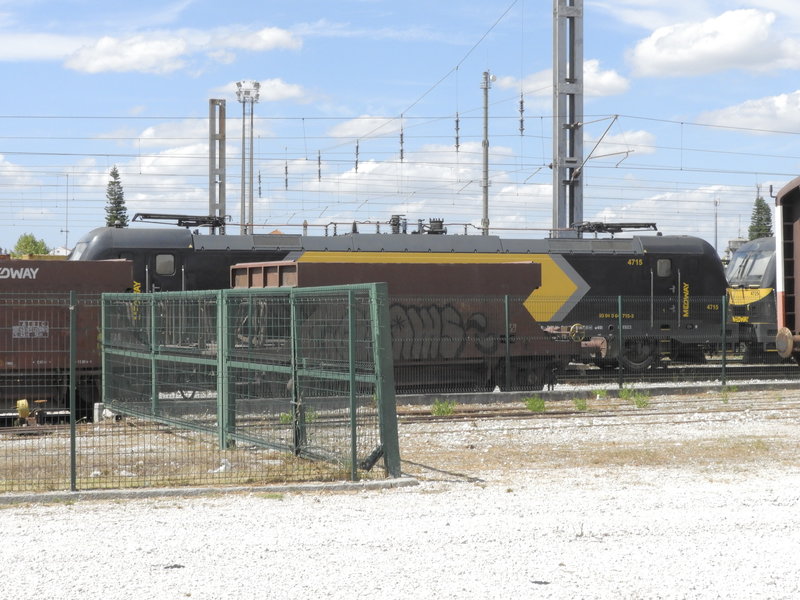 DSCN4235.JPG
