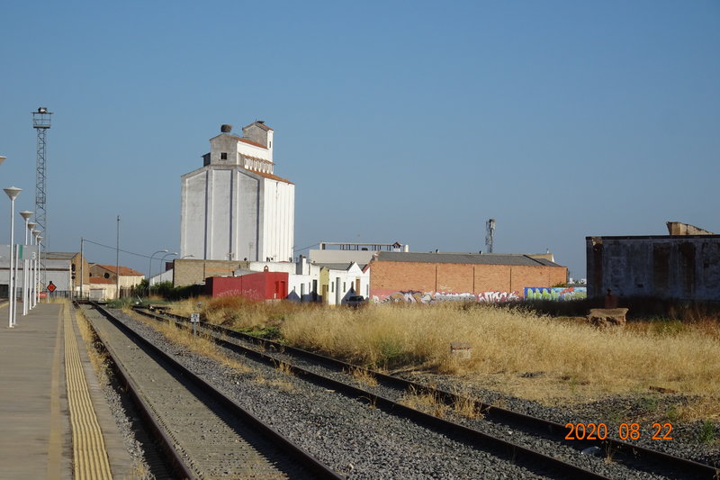 DSC02506.JPG