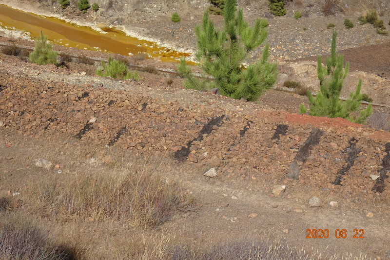 DSC02573.JPG