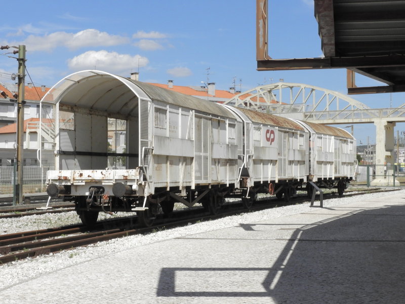 DSCN4306.JPG